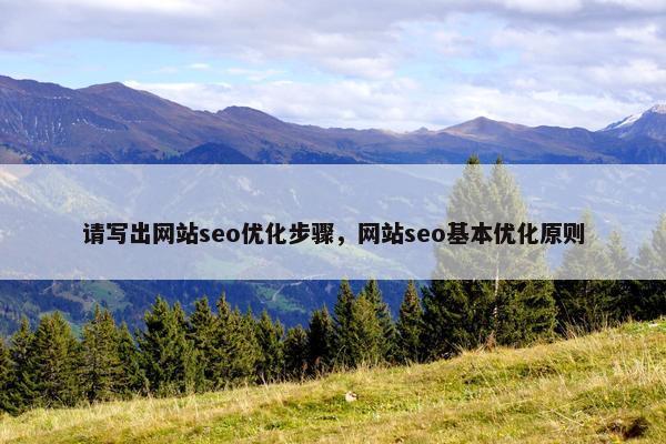 请写出网站seo优化步骤，网站seo基本优化原则