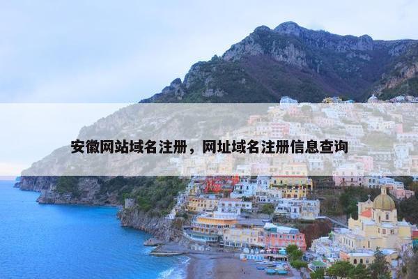 安徽网站域名注册，网址域名注册信息查询