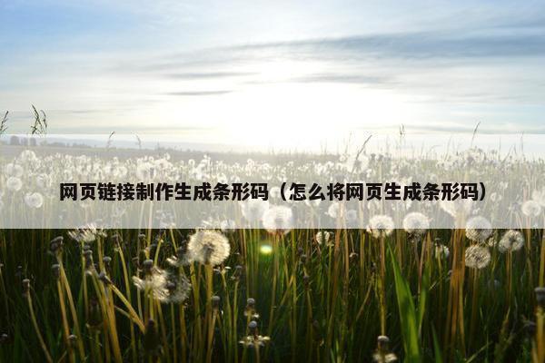网页链接制作生成条形码（怎么将网页生成条形码）