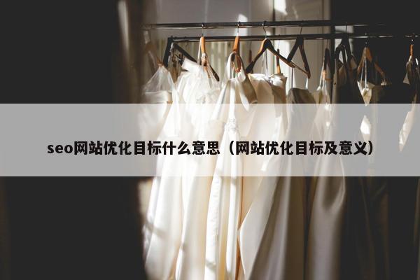seo网站优化目标什么意思（网站优化目标及意义）