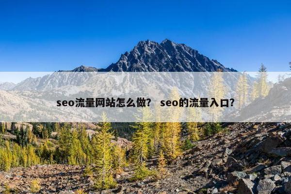 seo流量网站怎么做？ seo的流量入口？