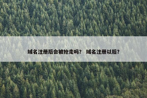 域名注册后会被抢走吗？ 域名注册以后？