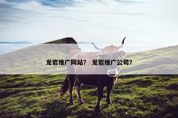龙岩推广网站？ 龙岩推广公司？