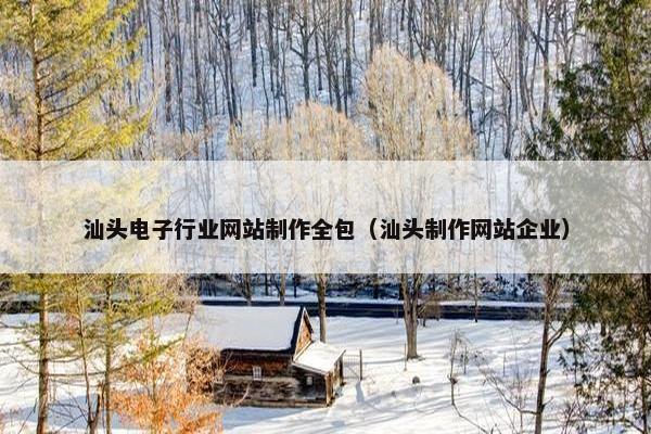 汕头电子行业网站制作全包（汕头制作网站企业）