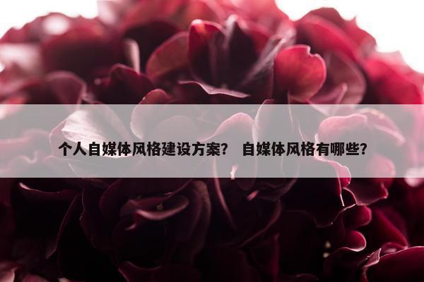 个人自媒体风格建设方案？ 自媒体风格有哪些？