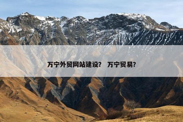 万宁外贸网站建设？ 万宁贸易？