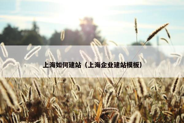 上海如何建站（上海企业建站模板）