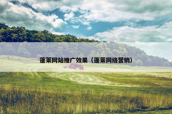 蓬莱网站推广效果（蓬莱网络营销）