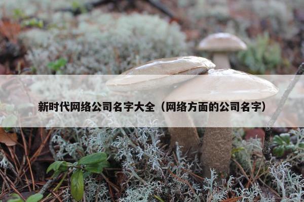新时代网络公司名字大全（网络方面的公司名字）