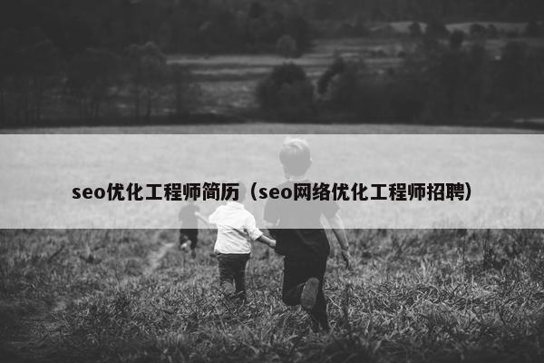 seo优化工程师简历（seo网络优化工程师招聘）