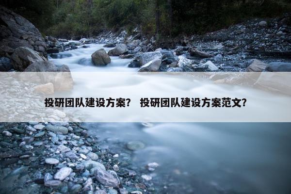 投研团队建设方案？ 投研团队建设方案范文？