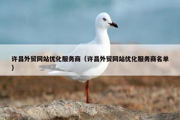 许昌外贸网站优化服务商（许昌外贸网站优化服务商名单）
