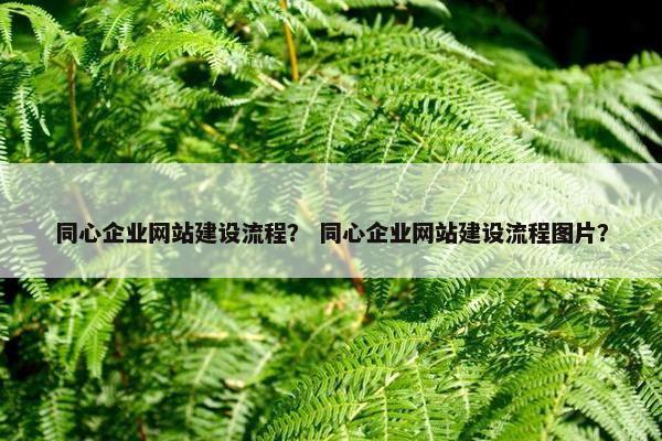 同心企业网站建设流程？ 同心企业网站建设流程图片？