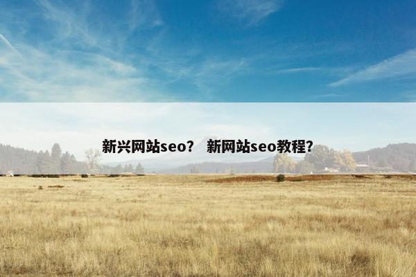 新兴网站seo？ 新网站seo教程？
