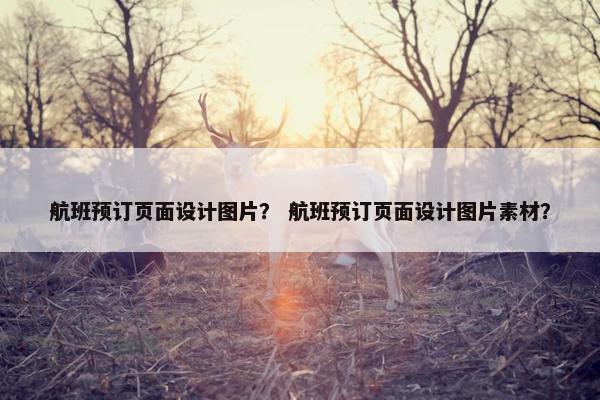 航班预订页面设计图片？ 航班预订页面设计图片素材？