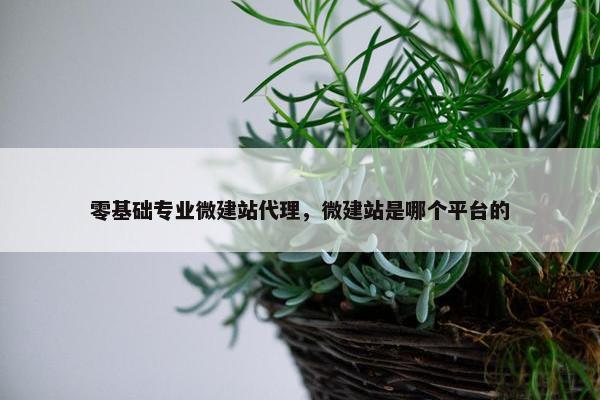 零基础专业微建站代理，微建站是哪个平台的
