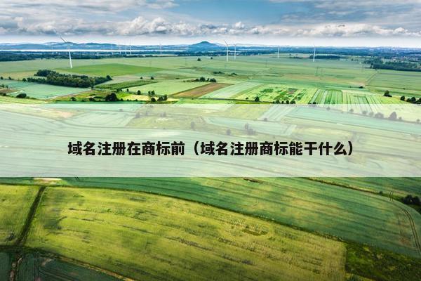 域名注册在商标前（域名注册商标能干什么）