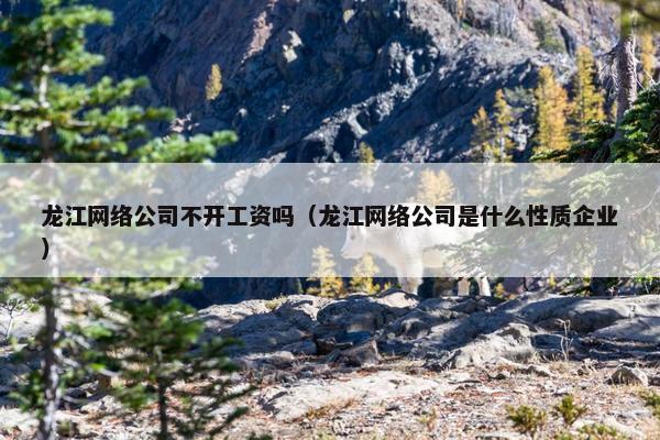 龙江网络公司不开工资吗（龙江网络公司是什么性质企业）