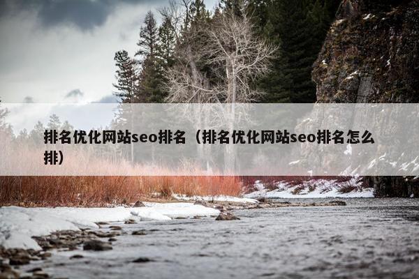 排名优化网站seo排名（排名优化网站seo排名怎么排）
