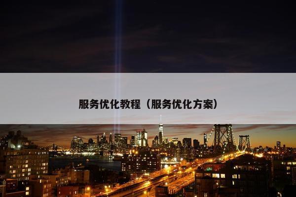 服务优化教程（服务优化方案）