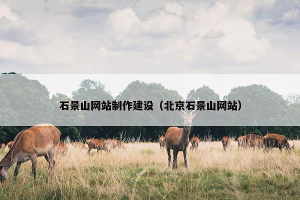 石景山网站制作建设（北京石景山网站）