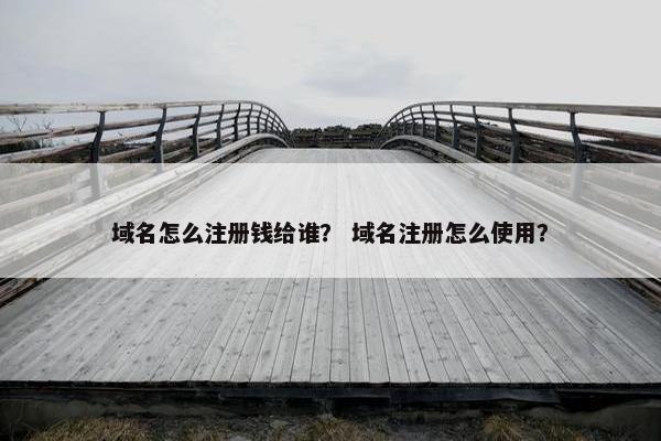 域名怎么注册钱给谁？ 域名注册怎么使用？