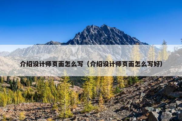 介绍设计师页面怎么写（介绍设计师页面怎么写好）