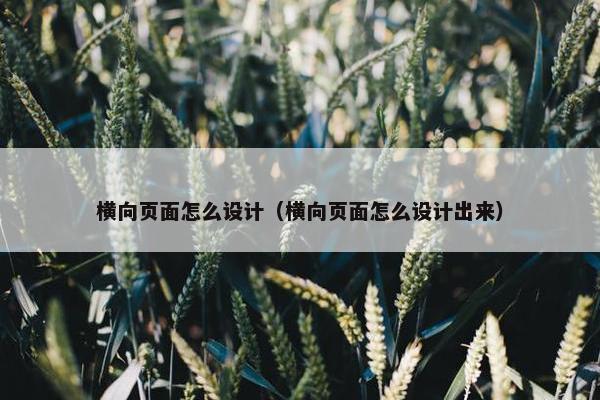 横向页面怎么设计（横向页面怎么设计出来）