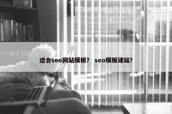 适合seo网站模板？ seo模板建站？