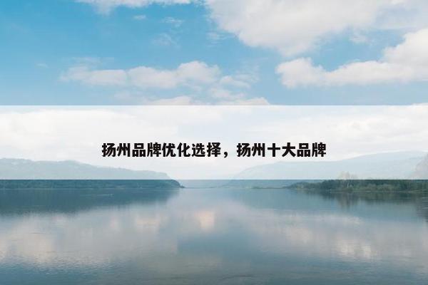 扬州品牌优化选择，扬州十大品牌