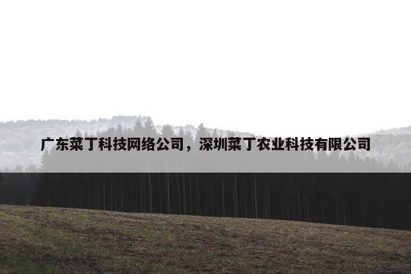 广东菜丁科技网络公司，深圳菜丁农业科技有限公司