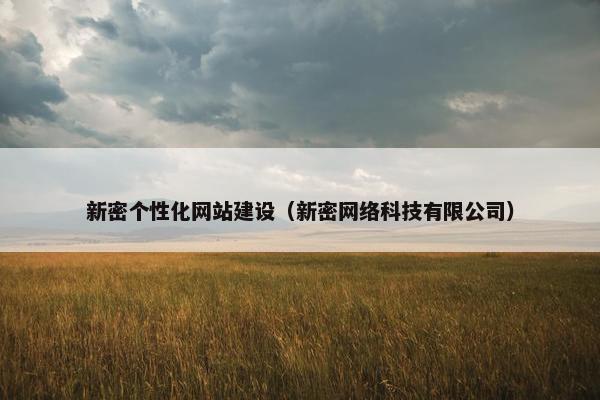 新密个性化网站建设（新密网络科技有限公司）