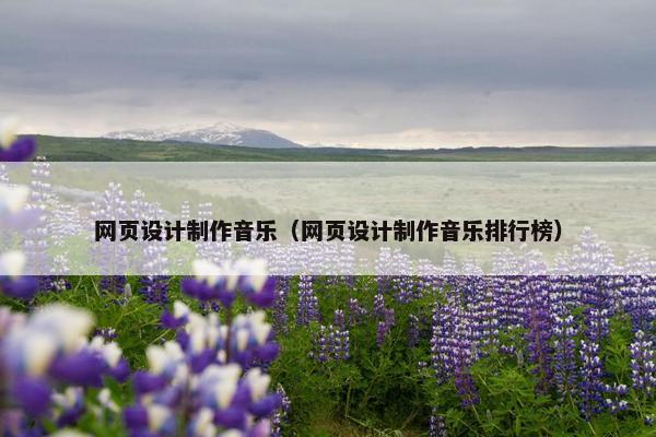 网页设计制作音乐（网页设计制作音乐排行榜）