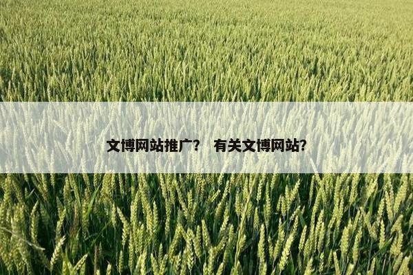 文博网站推广？ 有关文博网站？