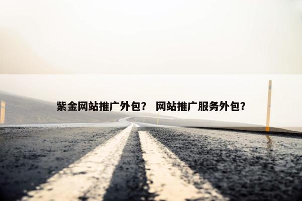 紫金网站推广外包？ 网站推广服务外包？
