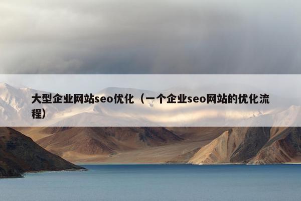 大型企业网站seo优化（一个企业seo网站的优化流程）