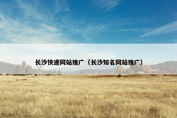长沙快速网站推广（长沙知名网站推广）