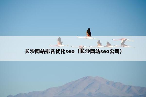 长沙网站排名优化seo（长沙网站seo公司）