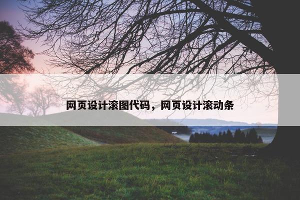 网页设计滚图代码，网页设计滚动条