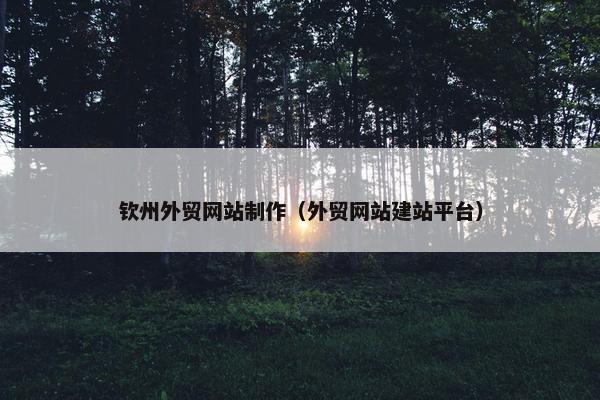 钦州外贸网站制作（外贸网站建站平台）