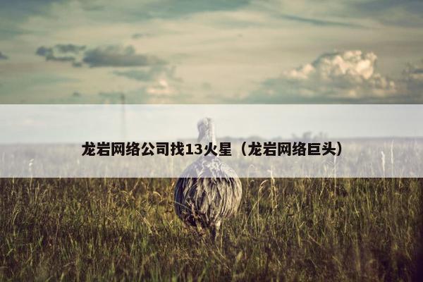 龙岩网络公司找13火星（龙岩网络巨头）