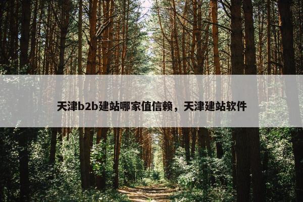 天津b2b建站哪家值信赖，天津建站软件