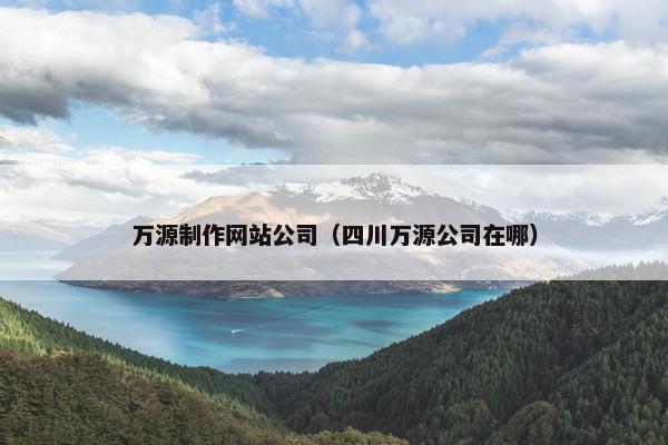 万源制作网站公司（四川万源公司在哪）