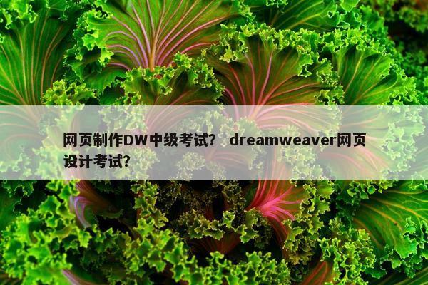 网页制作DW中级考试？ dreamweaver网页设计考试？