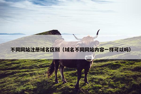 不同网站注册域名区别（域名不同网站内容一样可以吗）