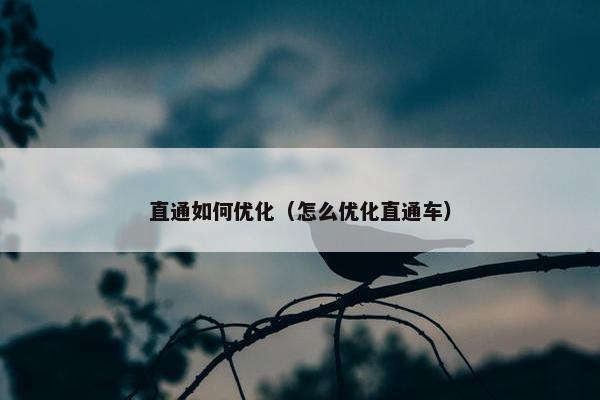 直通如何优化（怎么优化直通车）