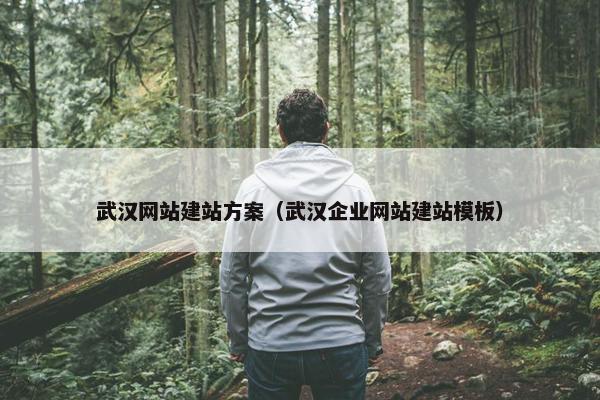 武汉网站建站方案（武汉企业网站建站模板）