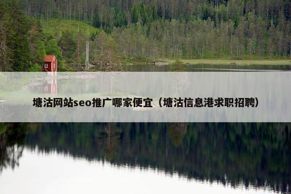 塘沽网站seo推广哪家便宜（塘沽信息港求职招聘）