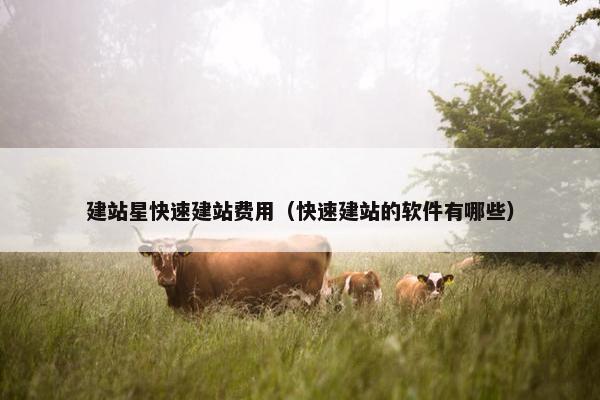 建站星快速建站费用（快速建站的软件有哪些）