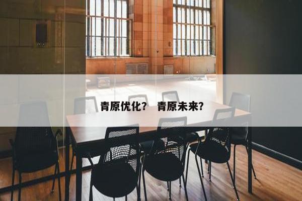 青原优化？ 青原未来？